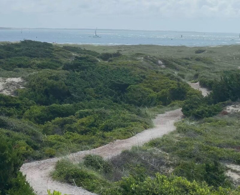 A sandy path winding through maritime dune scrub toward the open ocean on the Elliott Coues Nature Trail at Fort Macon State Park